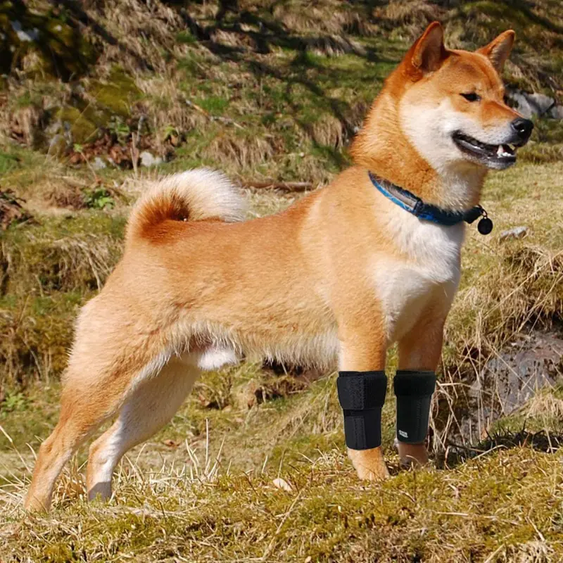 Stabilizing Dog Front Legs Knee Brace Set 1
