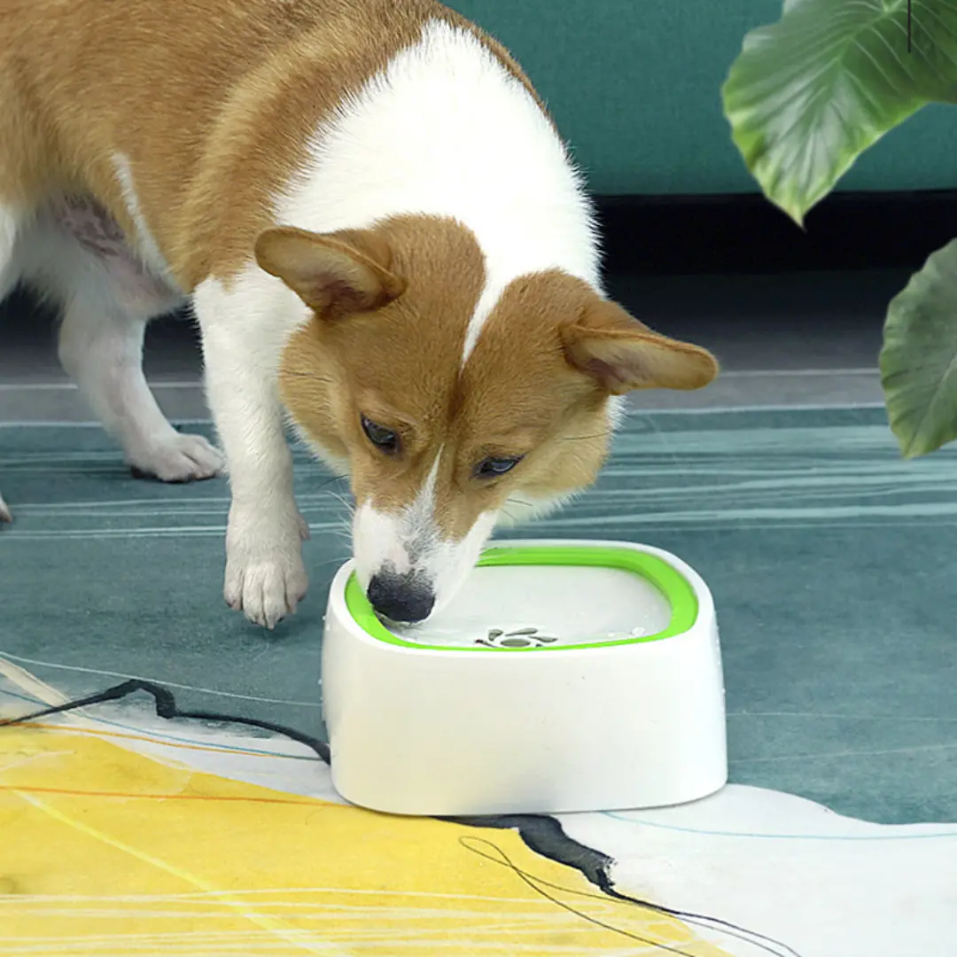 Large Portable Spill Proof Dog Water Fountain Bowl 1