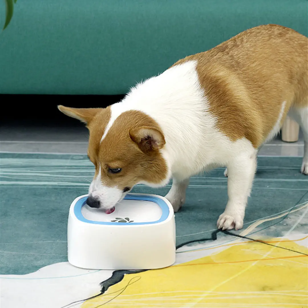 Large Portable Spill Proof Dog Water Fountain Bowl 2