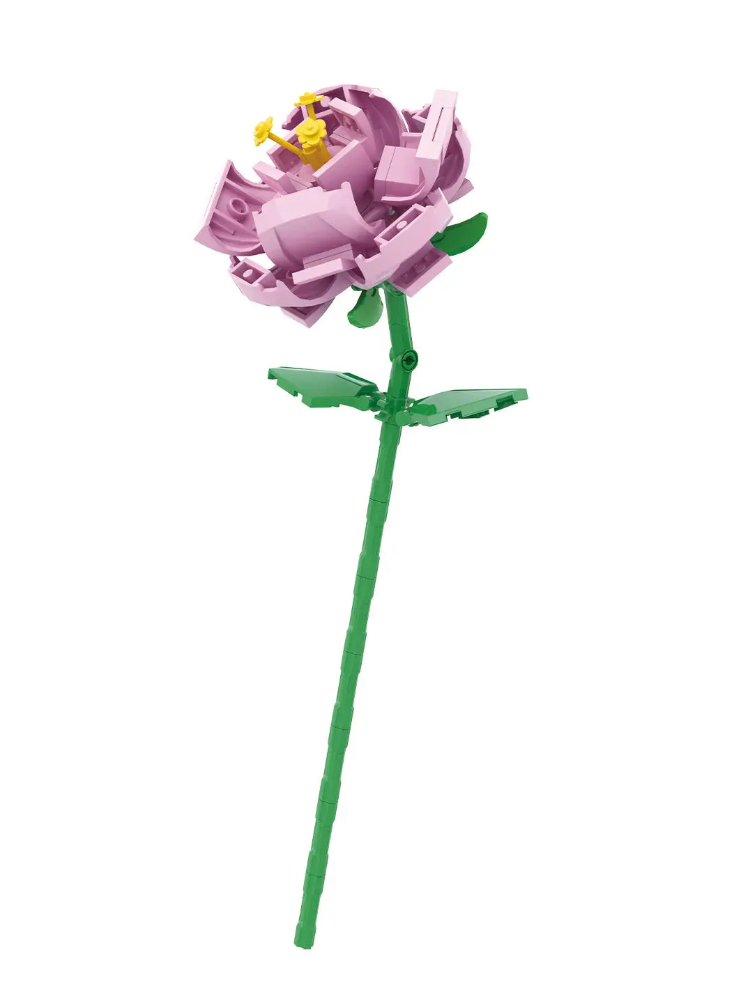 Multiflora Rose Building Blocks 1