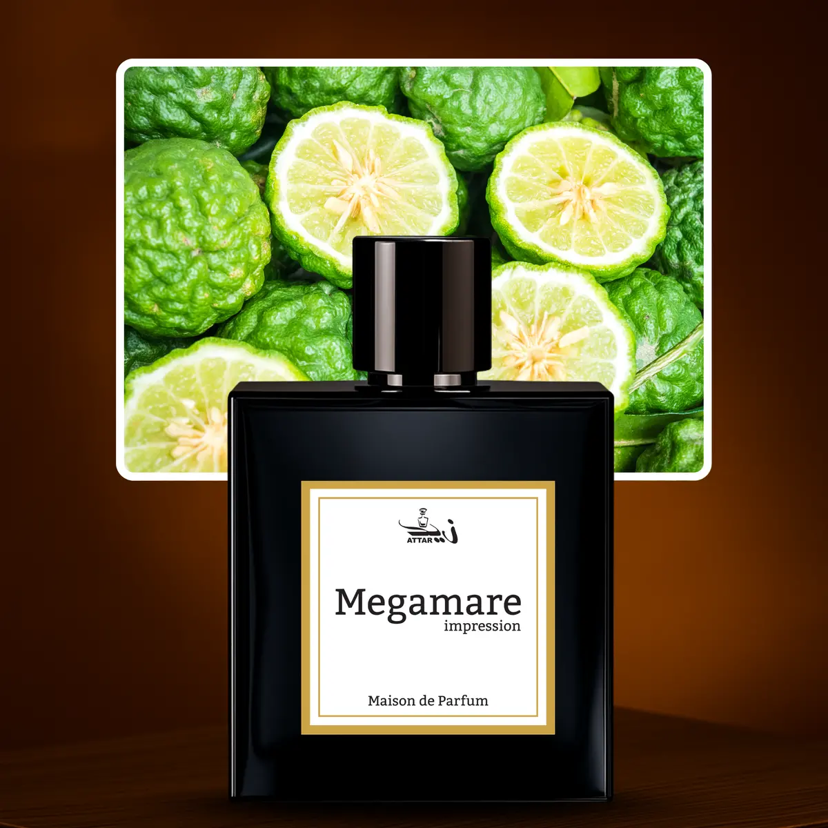 Megamare For Men And Women – By Orto Parisi |  Perfume Clone 1