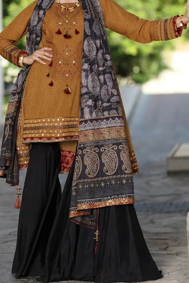 Brown Karandi 2Pc Unstitched - Alp-487 1