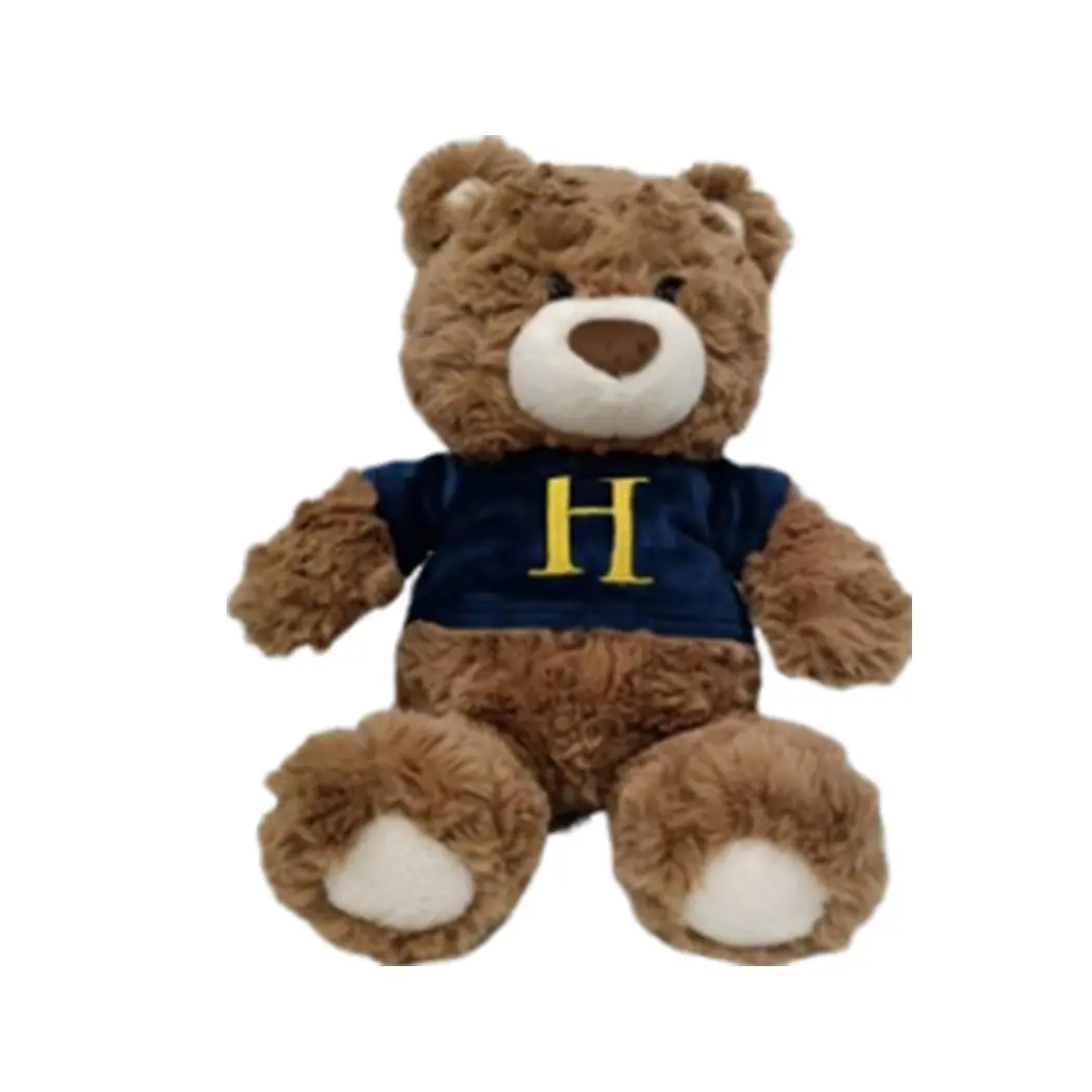 Harry Potter 10In. Sweatshirt Gift Bear Plush Toy(Blue) 1