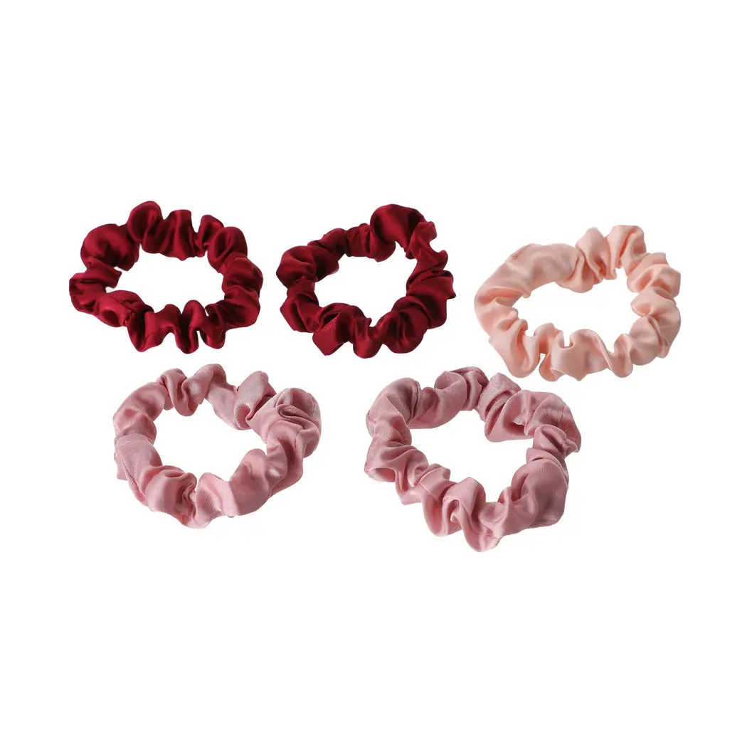 Small Color Gradient Hair Ties (5 Pcs, Pink) 1