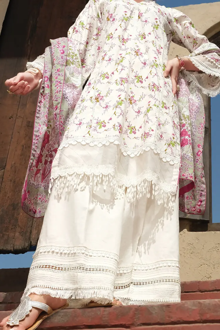 Natural Lawn 3Pc Unstitched - Alp-724 1