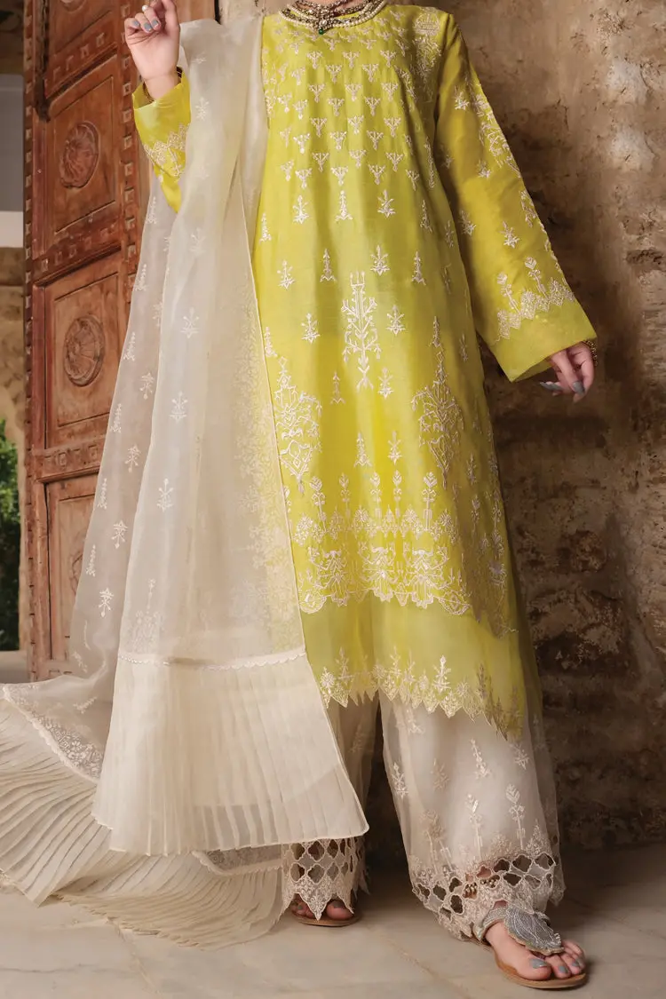 Lime Raw Silk 3Pc Stitched - Alp-742 1