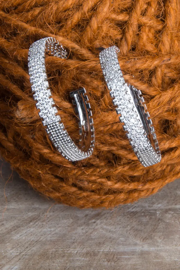 Earrings - Er-095-18 1