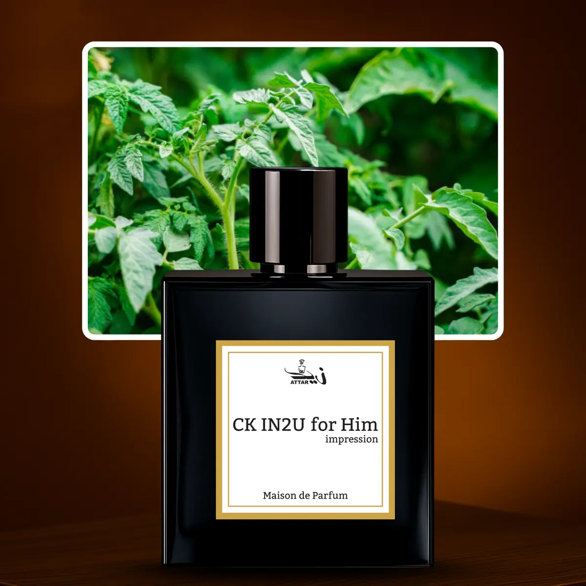 Ck In2u For Him – Inspired By Calvin Klein | Available At Zaid Attar Wale Pakistan 1