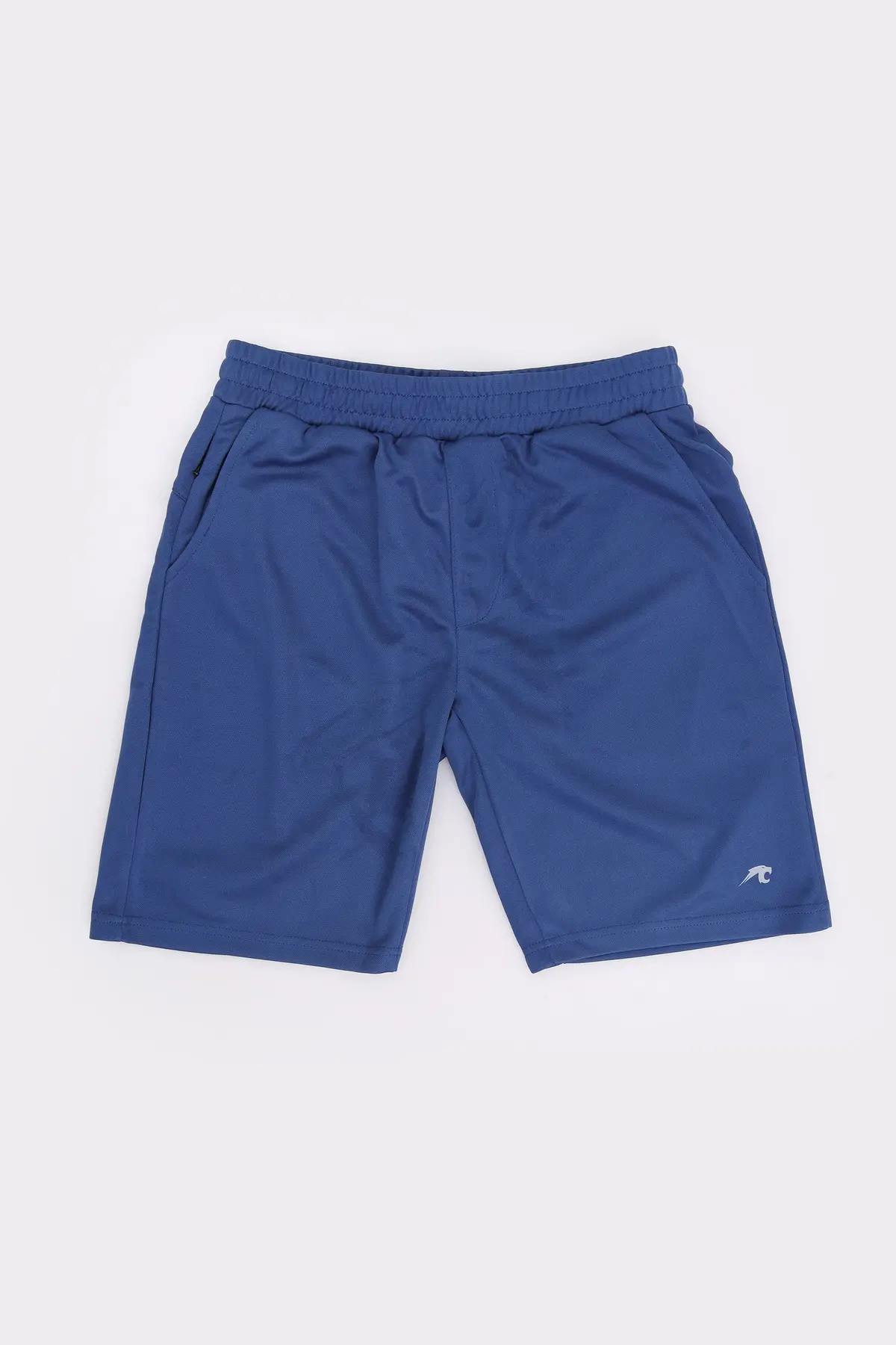 Athlesiure Shorts 1
