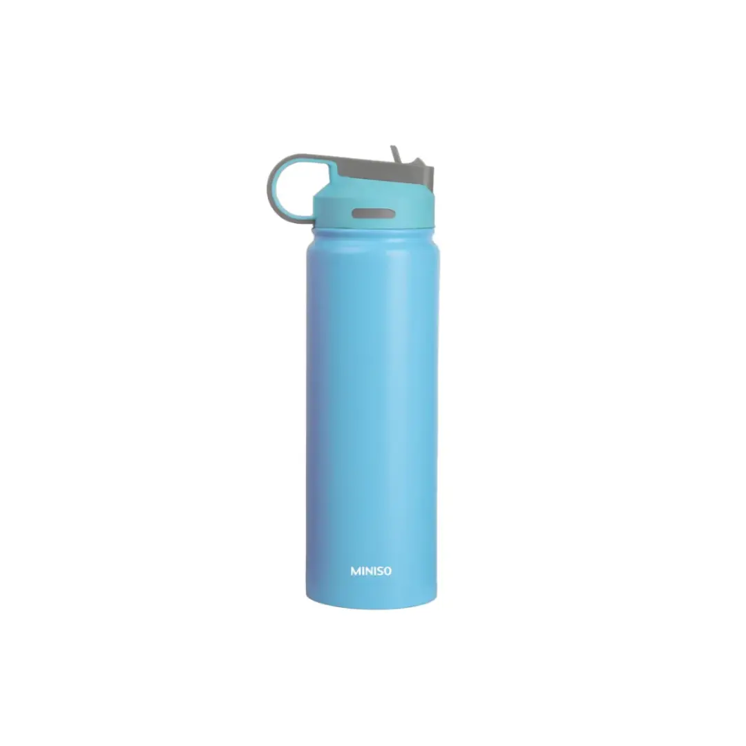 Solid Color Stainless Steel Bottle With Handle And Straw Lid (900Ml)(Blue) 1