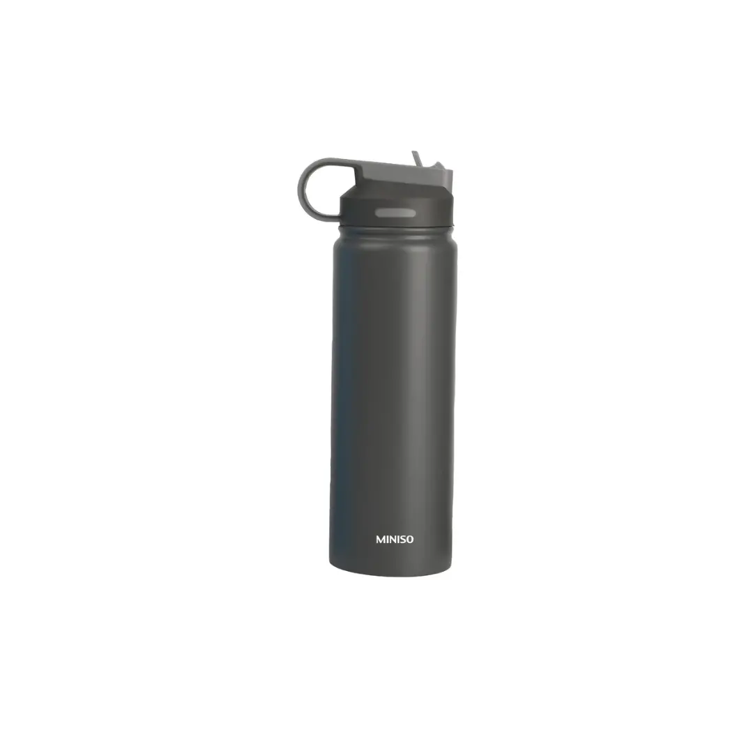 Solid Color Stainless Steel Bottle With Handle And Straw Lid (900Ml)(Gray) 1
