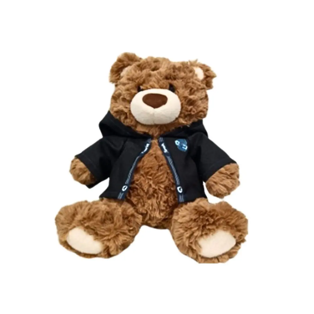 Harry Potter 10In. School Gift Bear Plush Toy(Ravenclaw) 1