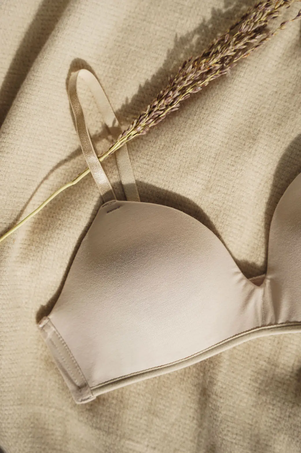 Cotton Non Wired T-Shirt Bra 1