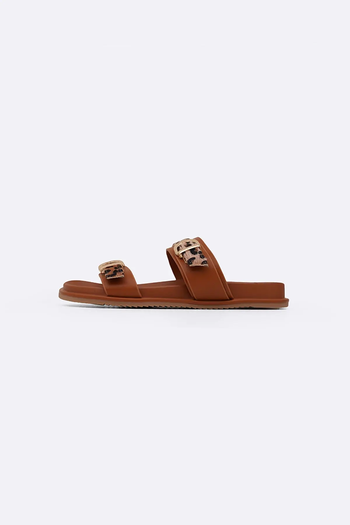 All Day Animal Slides 1
