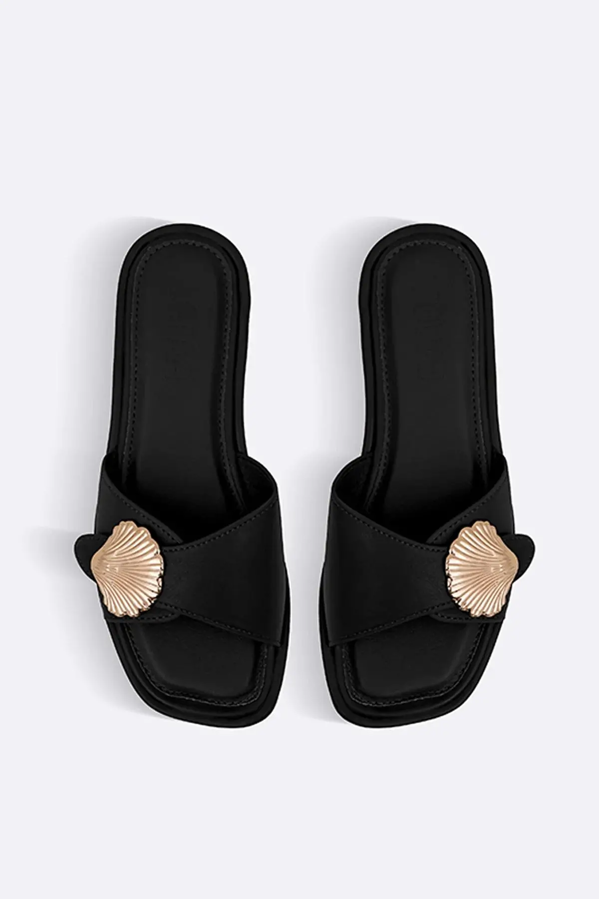 Seashell Slides 1