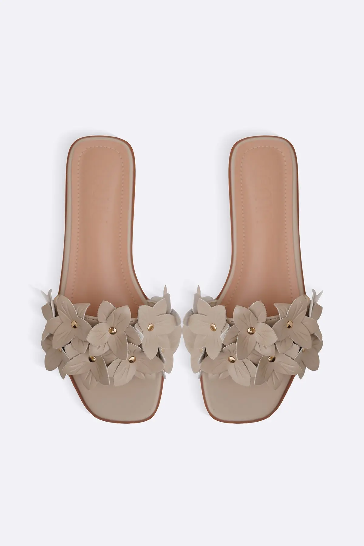 Everyday Daisy Slides 1
