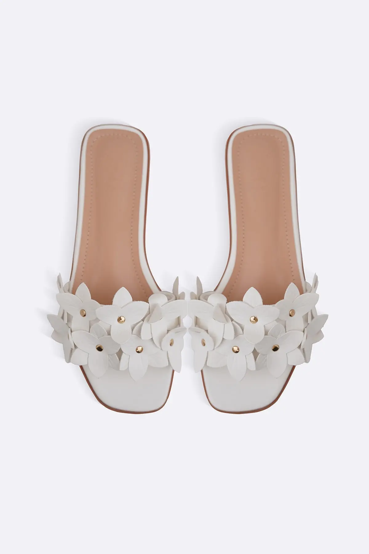 Everyday Daisy Slides 1