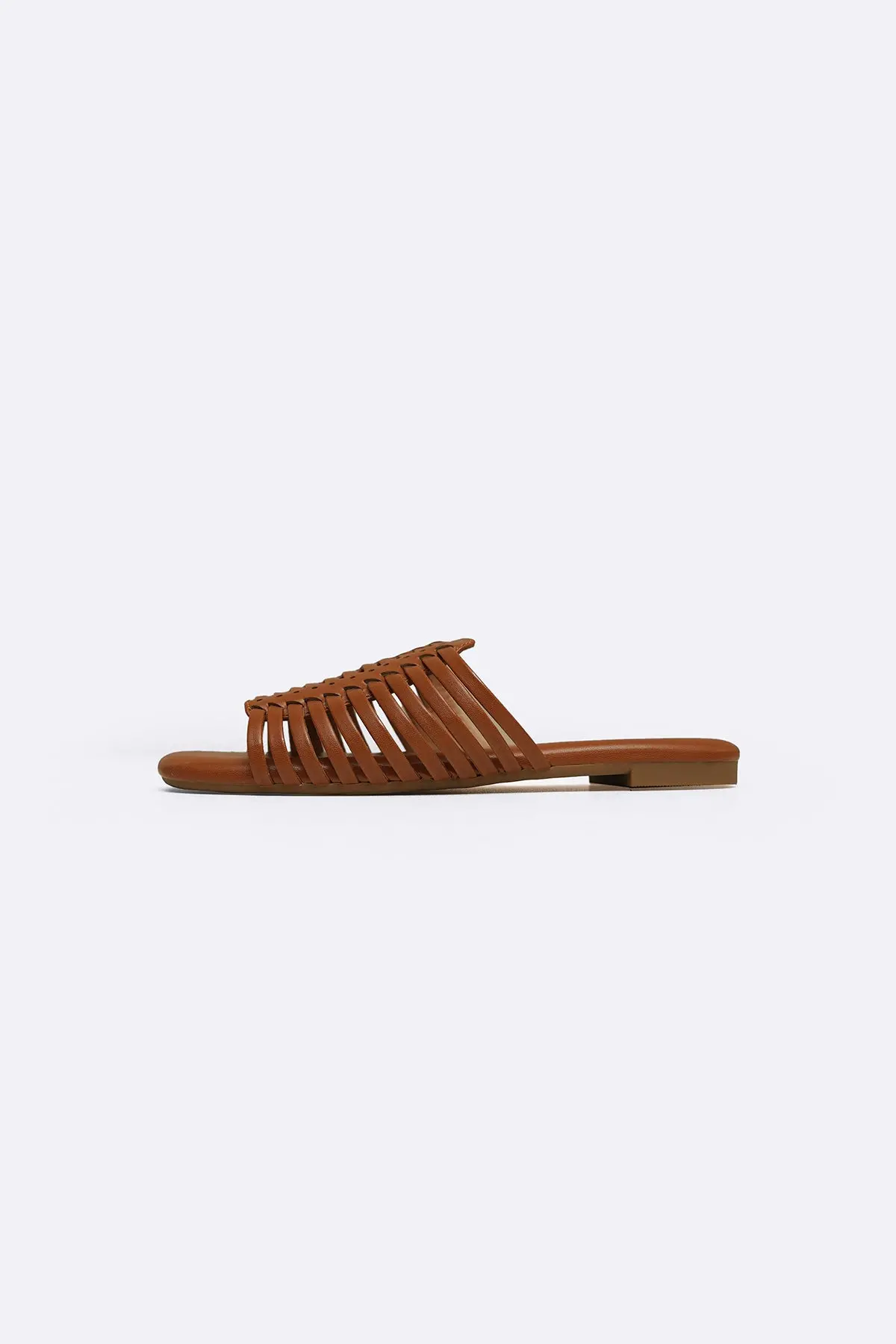Tropical Weave Slides 1