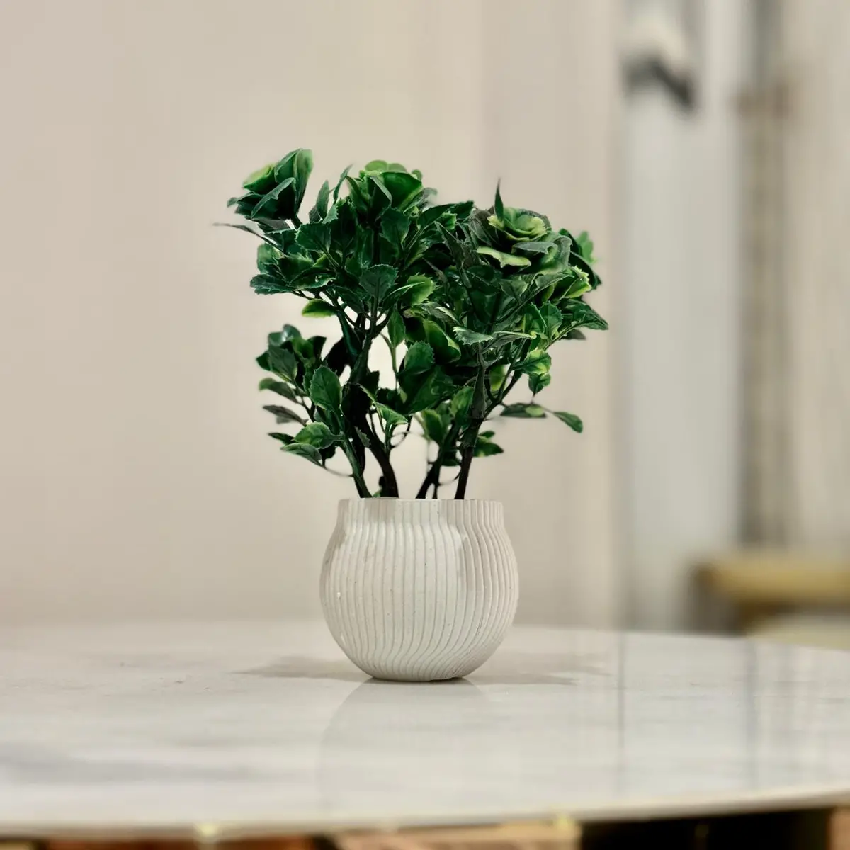 Miniature Tree Planter For Home And Office Decor 1