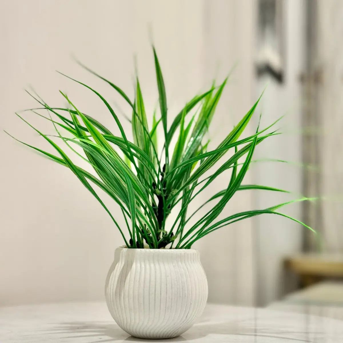 Miniature Tree Planter For Home And Office Decor 1