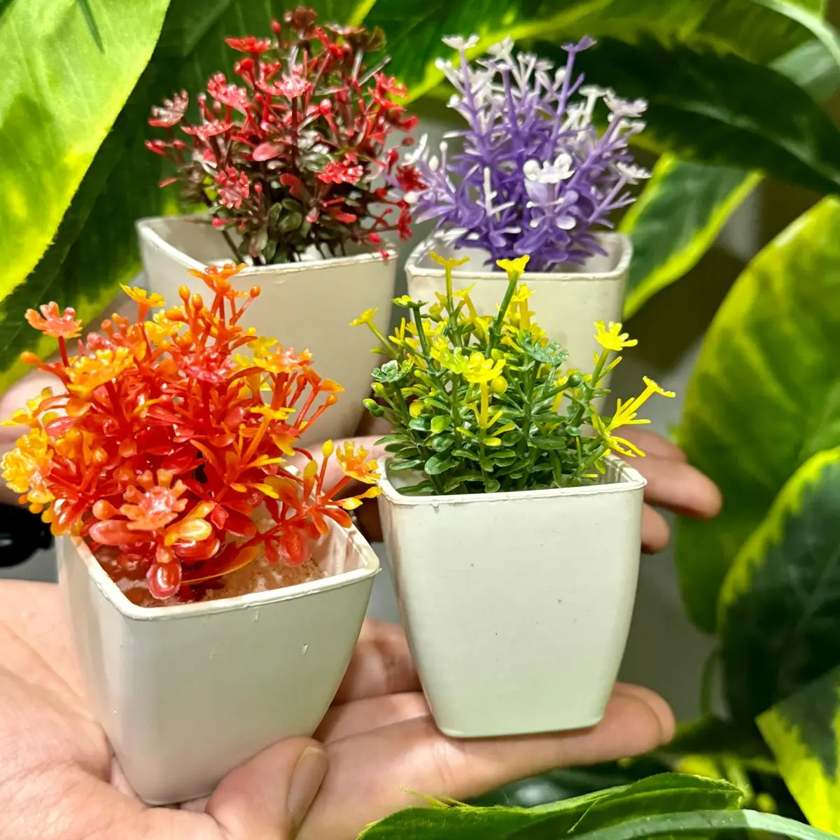 Set Of 4 Mini Cute Plants 1