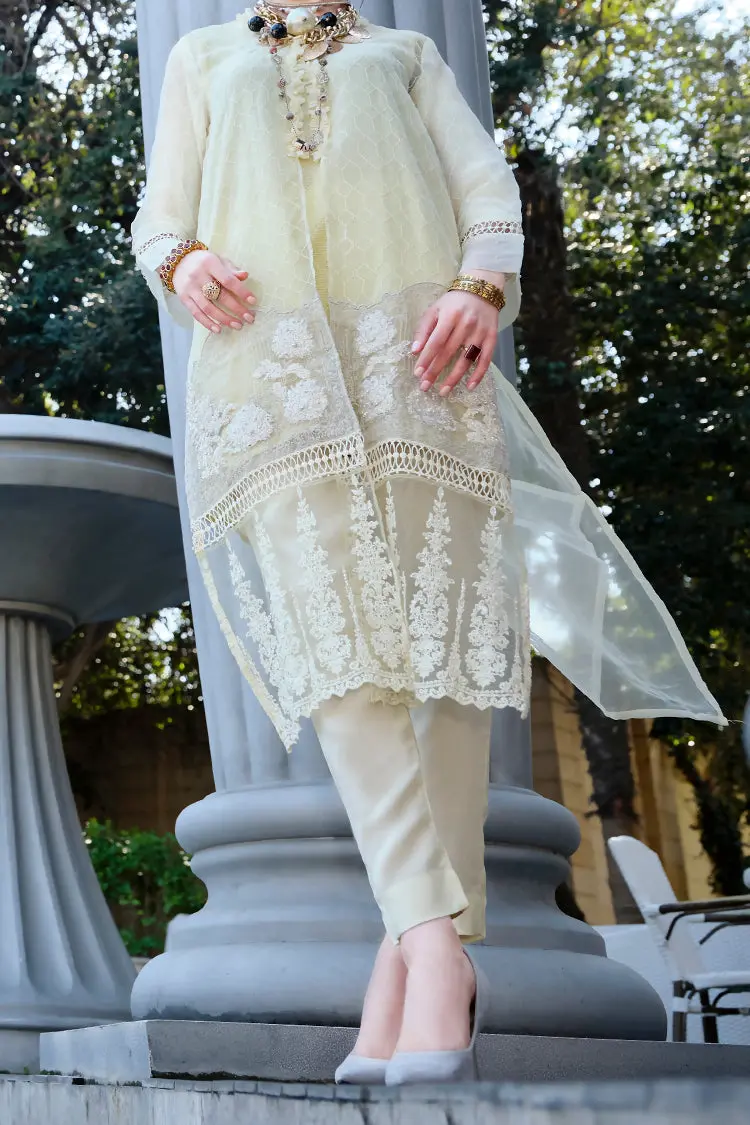 Lime Organza Tunic - Lks-650 1