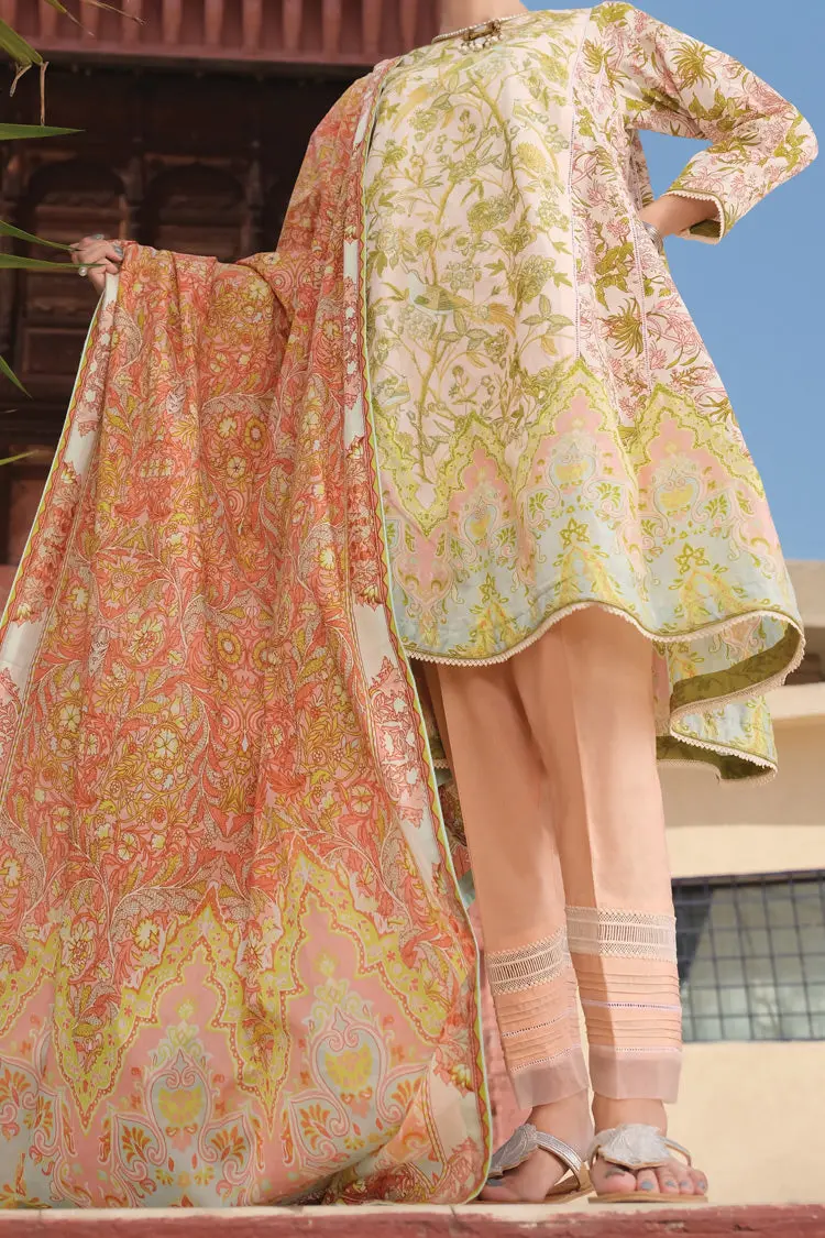 Ivory Lawn 3Pc Stitched - Alp-727 1