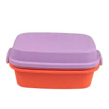 Colorful Double Layered Bento Box (980Ml)(Orange) 1