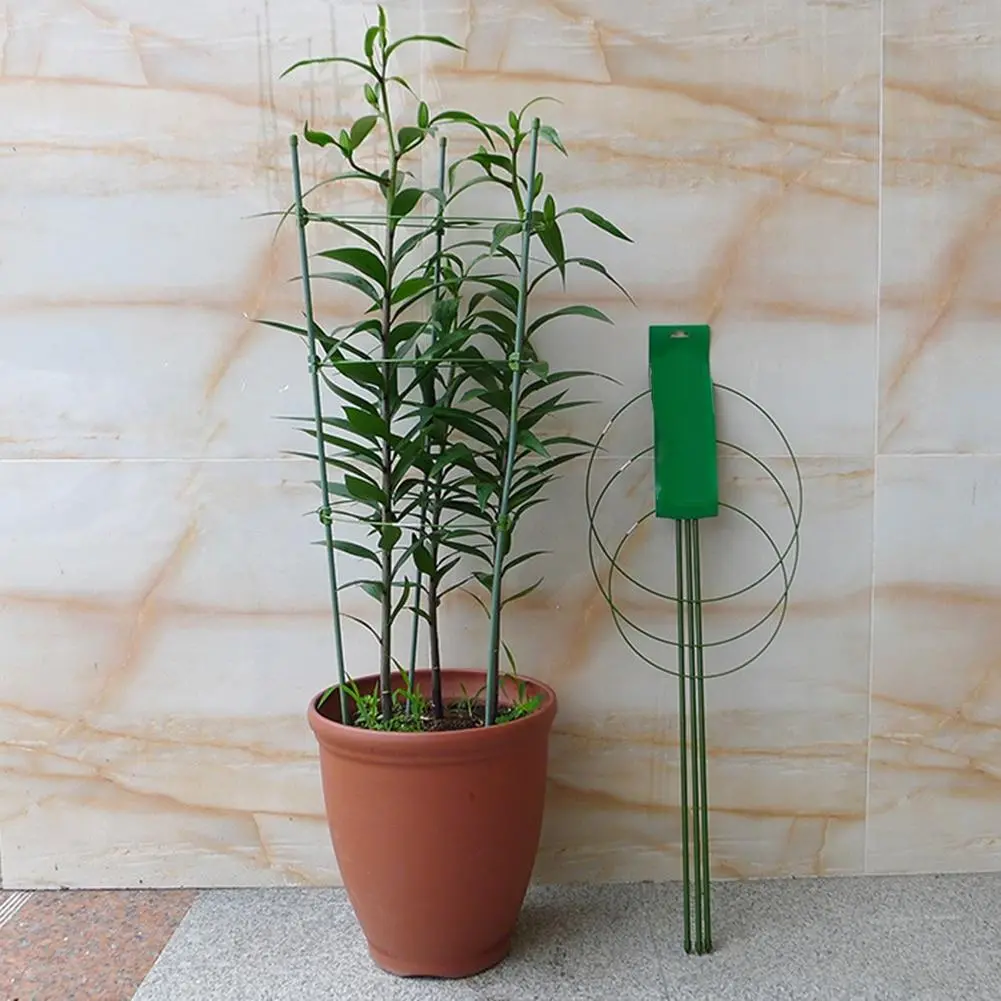 Heavy Duty Tomato Plant Support Trellis Cage 2