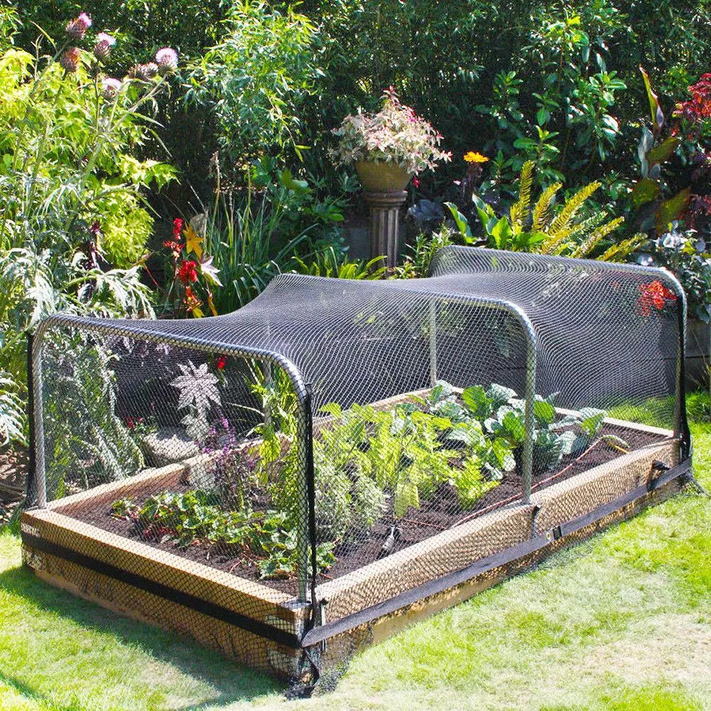 Garden Fruit Trees Bird Netting 1