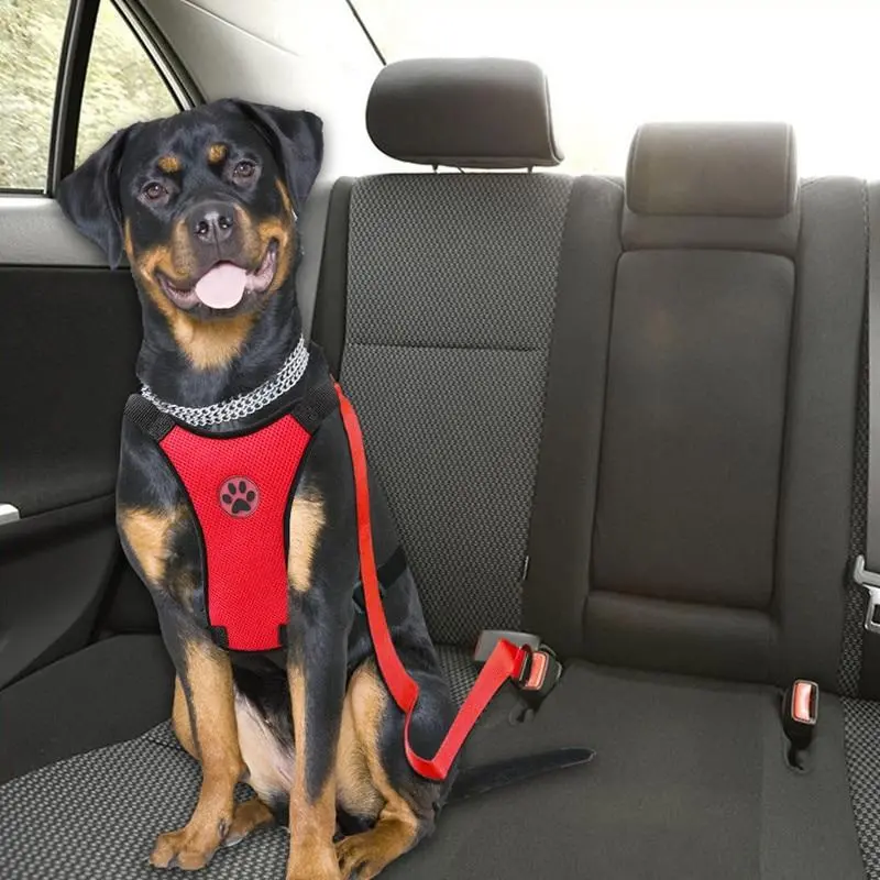 Dog Car Harness Seat Belt Restraint 10