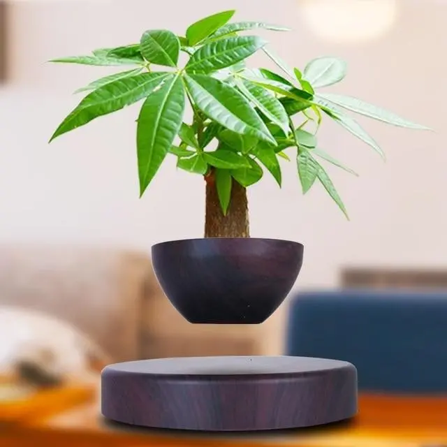 Levitating Magnetic Bonsai Tree Planter Pot 2