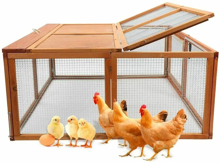 Small Portable Wooden Backyard Chicken Coop House 1