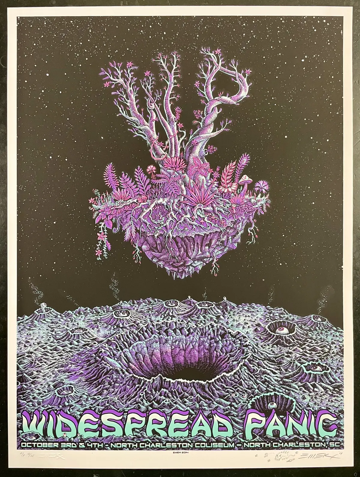Auction - Widespread Panic - North Carolina '14 - Emek - Artist Proof - Edition Of 25 - Mint 1