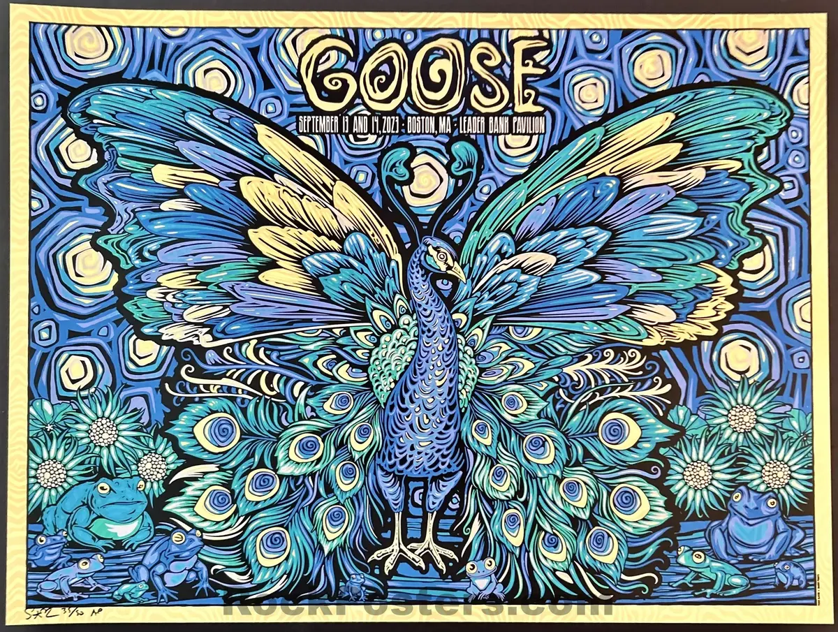 Auction - Goose - Boston '23 - Todd Slater - Frog Metamorphosis - Artist Proof Edition - Mint 1